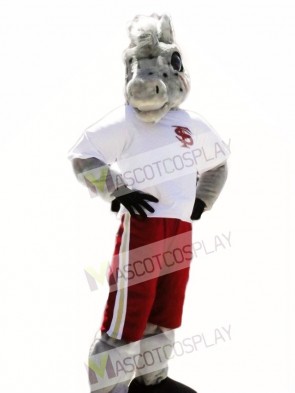 Sport School Horse Mascot Costumes Animal