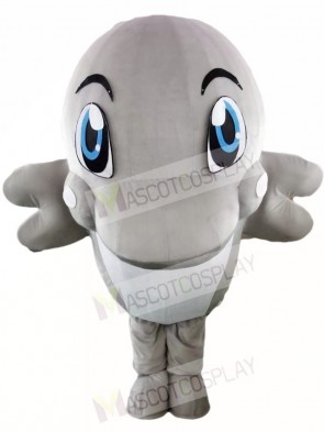 Grey Dolphin Mascot Costumes Ocean