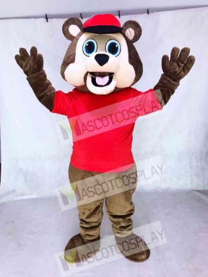 Minnesota Twin Cities T.C. Bear MLB Brown Bear with Hat Mascot Costume
