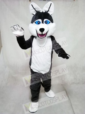 Timber Wolf Mascot Costumes Animal