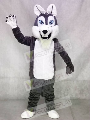 Dark Gray Long-haired Wolf Mascot Costume 