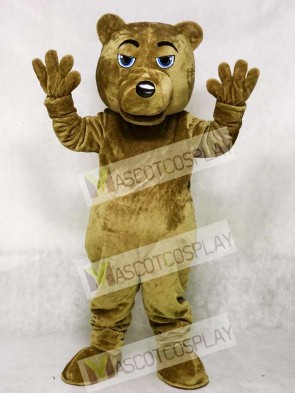 UCLA Dark Brown Bear Mascot Costume