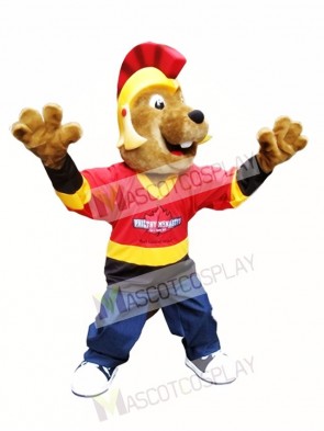 Beaver in Helmet Mascot Costumes