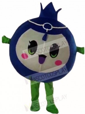 Blueberry Mascot Costumes Fruit