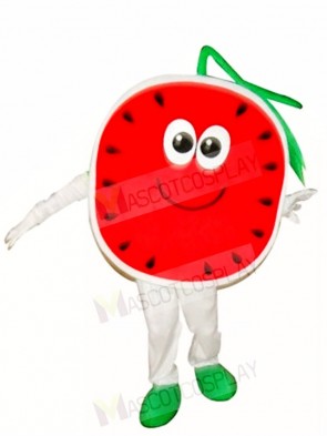Half a Watermelon Mascot Costumes Fruit 