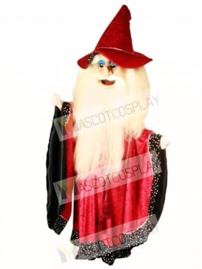 Merlin Wizard Mascot Costume
