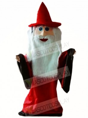 Wizard Magician Mascot Costumes Halloween