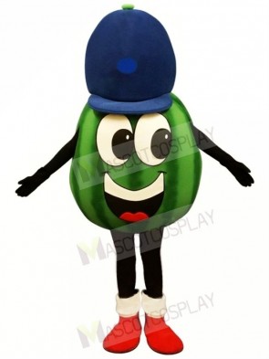 Madcap Watermelon Lightweight Mascot Costume 