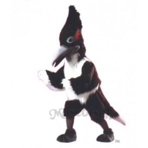 Black Roadrunner Mascot Costume