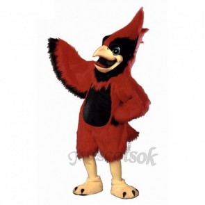 Big Red Cardinal Bird Mascot Costume
