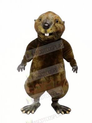 High Quality Otter  Mascot Costumes	
