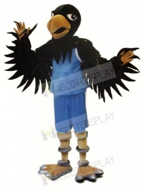 College Basketball Black Crow Mascot Costume 