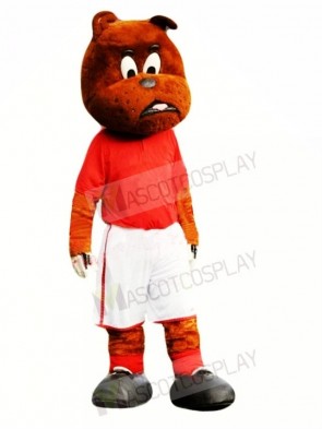 Cute Football Bulldog Mascot Costume 