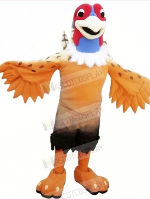 Nice Pheasant Mascot Costumes Cartoon 