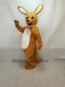Melbourne Roo Kangaroo Mascot Costume 