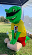 New Frog Mascot Costumes Animal