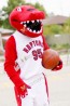 Toronto Raptors Mascot Red Raptors Costume Of Basketball Mascot Costume 