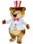 Huge Teddy Mascot Costumes Brown Bear Costume