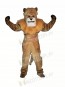 King Lion Mascot Costumes 