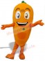 Carrot mascot costume
