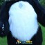New Style 2.6M Inflatable Panda Costume Inflatable Panda For Advertising Customize For Adult Suitable For 1.7m To 1.9m Adult