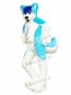 Husky Dog Adult Mascot Costume