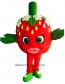 Shopkins Strawberry Kiss Classic Halloween Mascot Costume