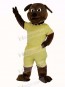 Brown Bulldog with Yellow Coat Mascot Costume Animal
