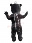 Skunk mascot costume