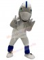Dolphin Mascot Costume