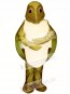 Sea Turtle Mascot Costume