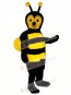 Bumble Bee Mascot Costume
