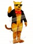 Cute Strayed Cat Mascot Costume