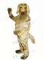 Cute Afghan Dog Mascot Costume