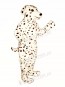 Cute Realistic Dalmatian Dog Mascot Costume