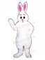 Cute Easter Bunny Rabbit Hugs Mascot Costume
