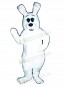 Cute Easter Bunny Rabbit Hop Mascot Costume