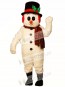 Cute Crystal Snowboy with Hat, Muffs & Scarf Mascot Costume