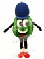 Madcap Watermelon Mascot Costume