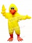 Cute Clucking Chicken Mascot Costume