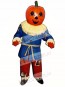 Pumpkin Mascot Costume