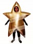 Gold Star Mascot Costume