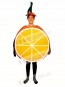 Sliced Orange Mascot Costume