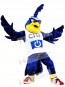 Blue Bird Mascot Costumes