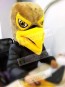New Brown and Yellow Hawk / Falcon Mascot Head ONLY Animal