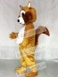 Adult Squirrel Mascot Costume with White Belly