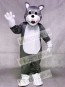 Gray Baby Husky Dog Mascot Costume Animal