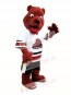 Rust Red Bear Mascot Costume Postdam Bears Mascot Costume