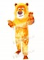 Realistic Animal Male Lion Mascot Costume