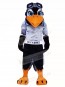 Skyhawk Mascot Costumes Bird Animal 